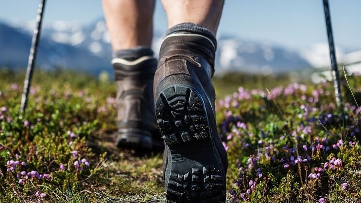 Wandern — Foto: Jens Ottoson / shutterstock.com