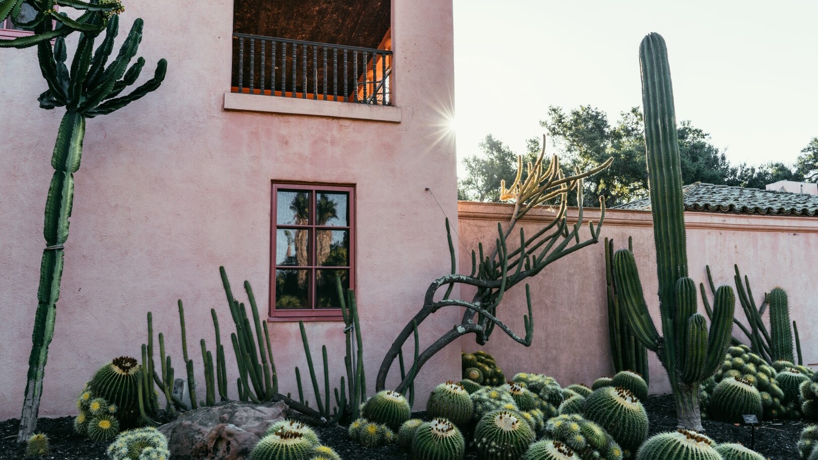 Lotusland in Santa Barbara  — Foto: Blake Bronstad / Visit California