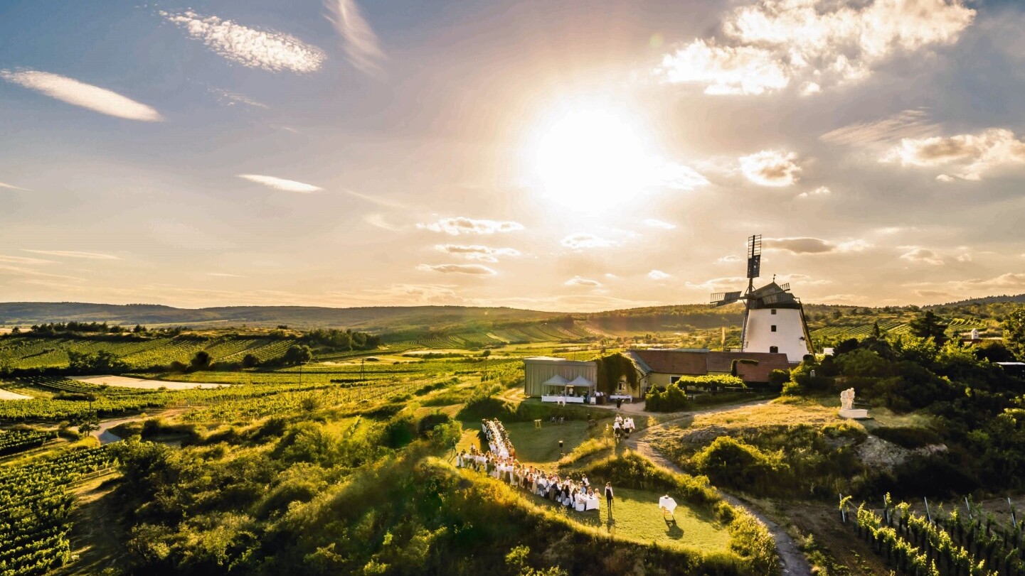 Tafeln im Weinviertel — Foto: Weinviertel Tourismus / Robert Herbst