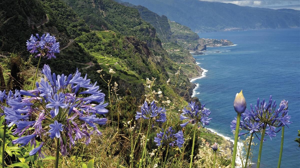 Madeira, die Blumeninsel im Atlantik — Foto: Rhomberg Reisen 