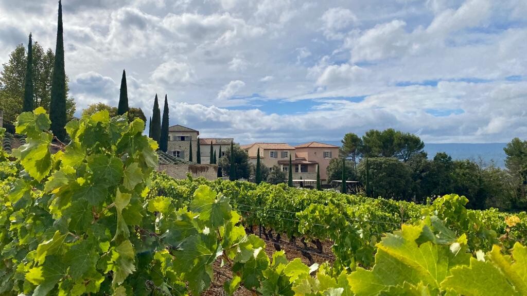 Wein und Wolken — Foto: Julia Trillsam 