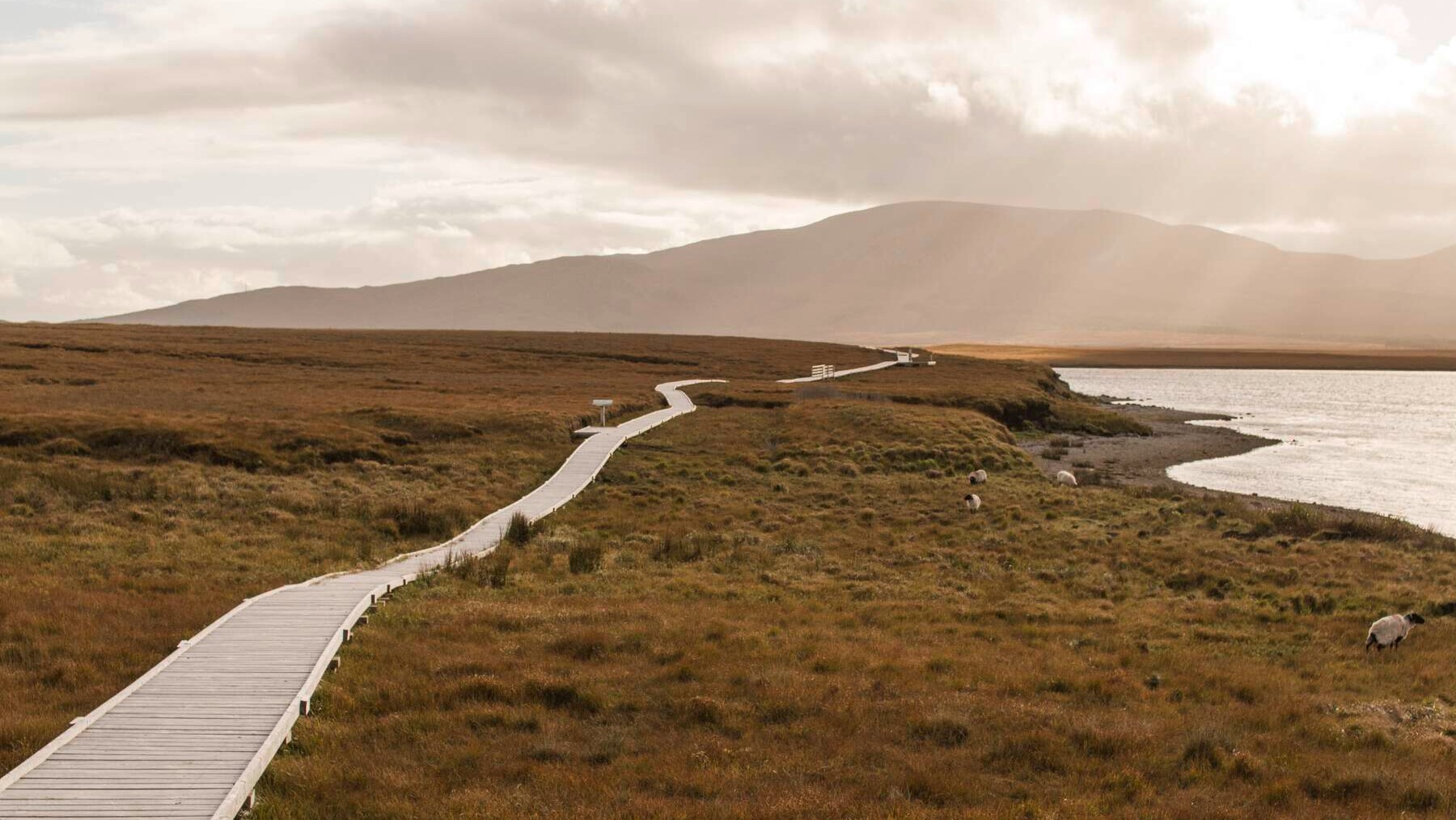 Wild Nephin National Park — Foto: Tourism Ireland / Mayo