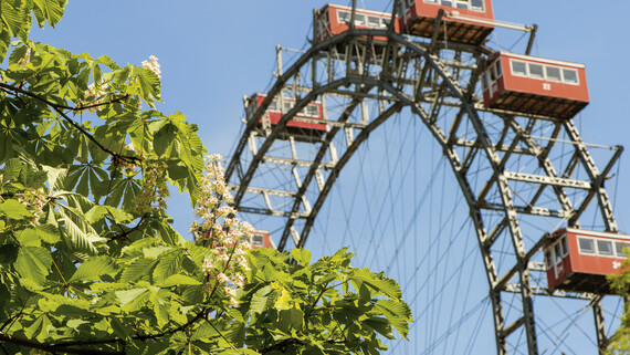 Im Prater — Foto: Vienna Tourist Board 