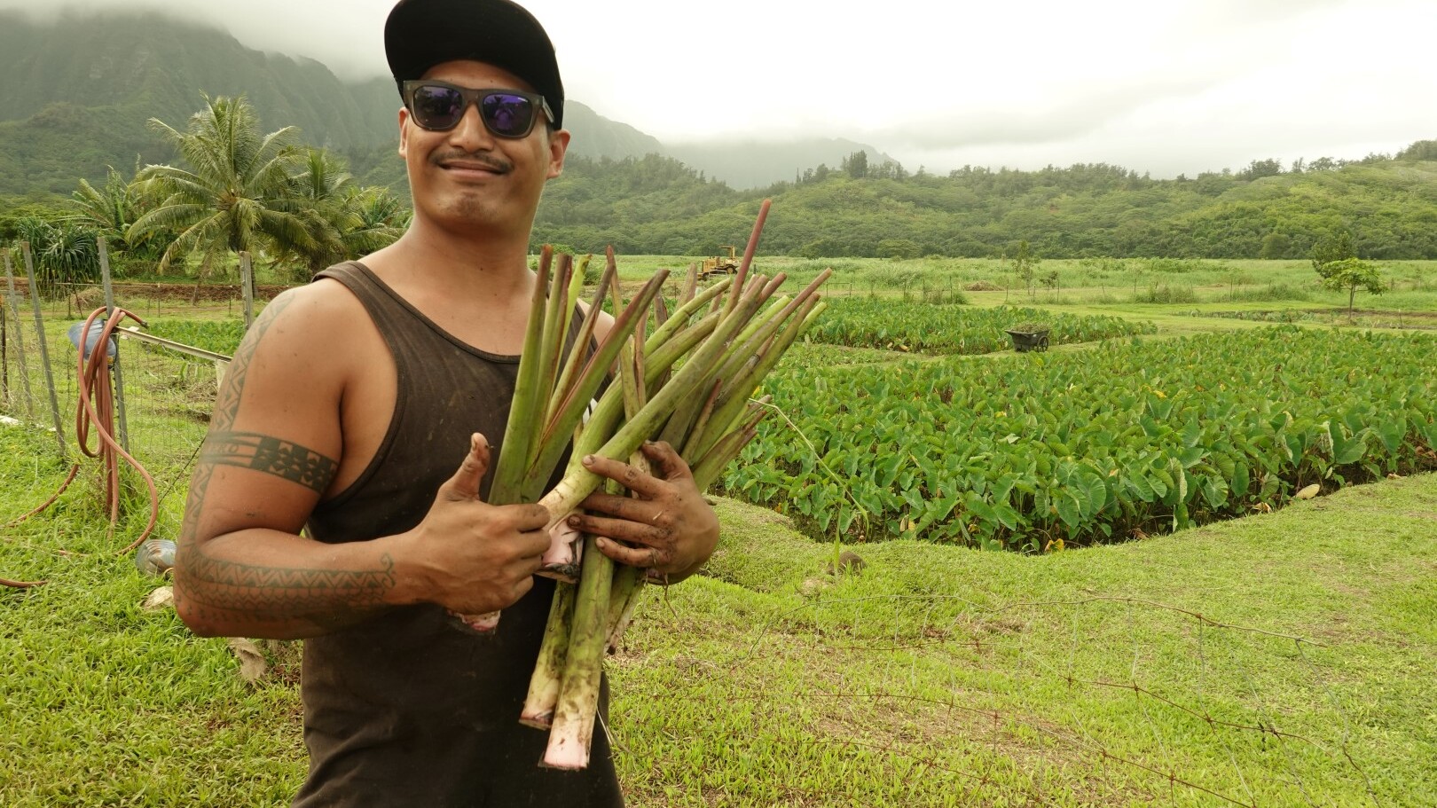 Dillon ist einer der Taro-Farmer der Kāko'o 'Ōiwi Farm — Foto: Karl Teuschl