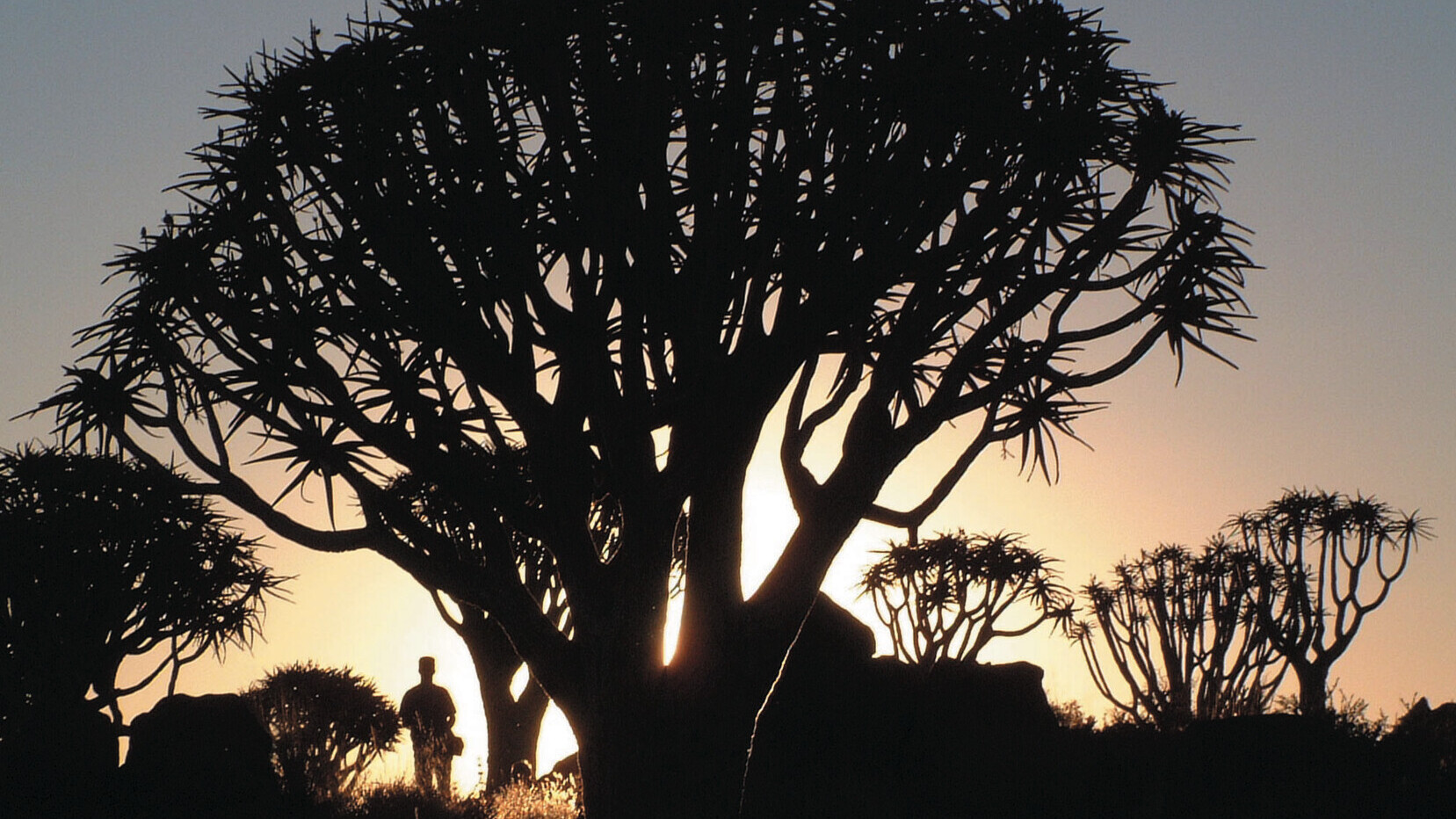 Naturerlebnisse in Afrika  — Foto: Kneissl Touristik 