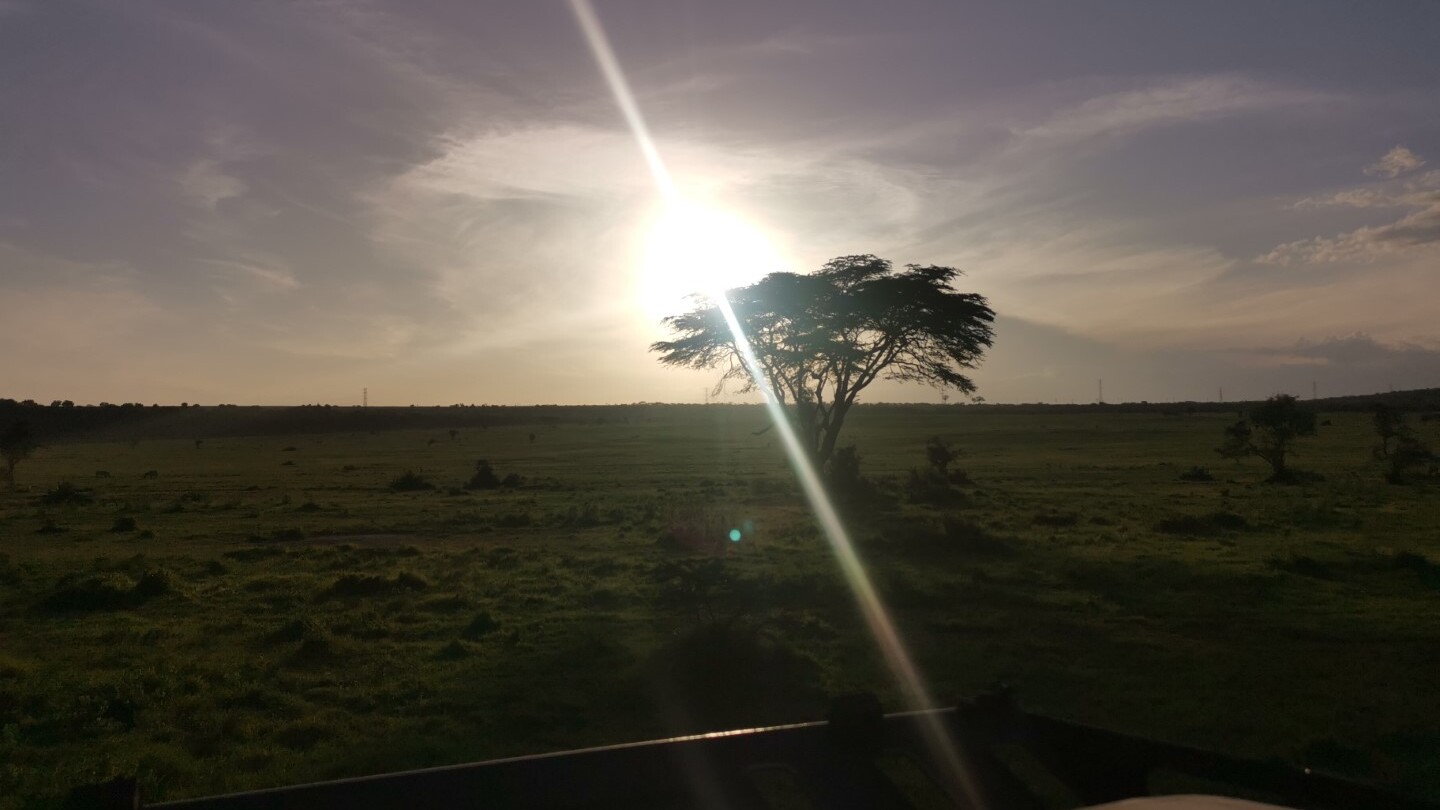 Abendstimmung im Busch: meistens kitschig schön — Foto: Elo Resch-Pilcik