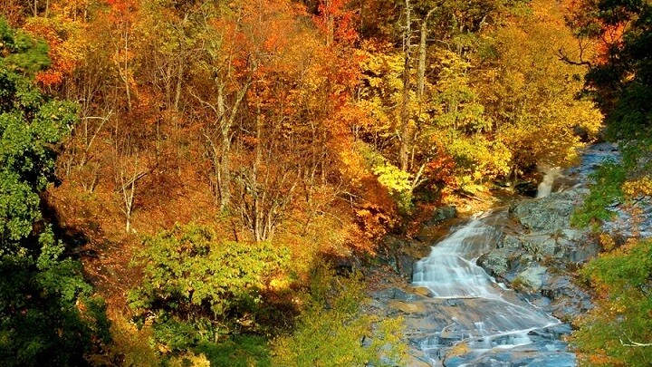 Shenandoah National Park, White Oak Upper Falls  — Foto: Virginia Tourism Corporation 