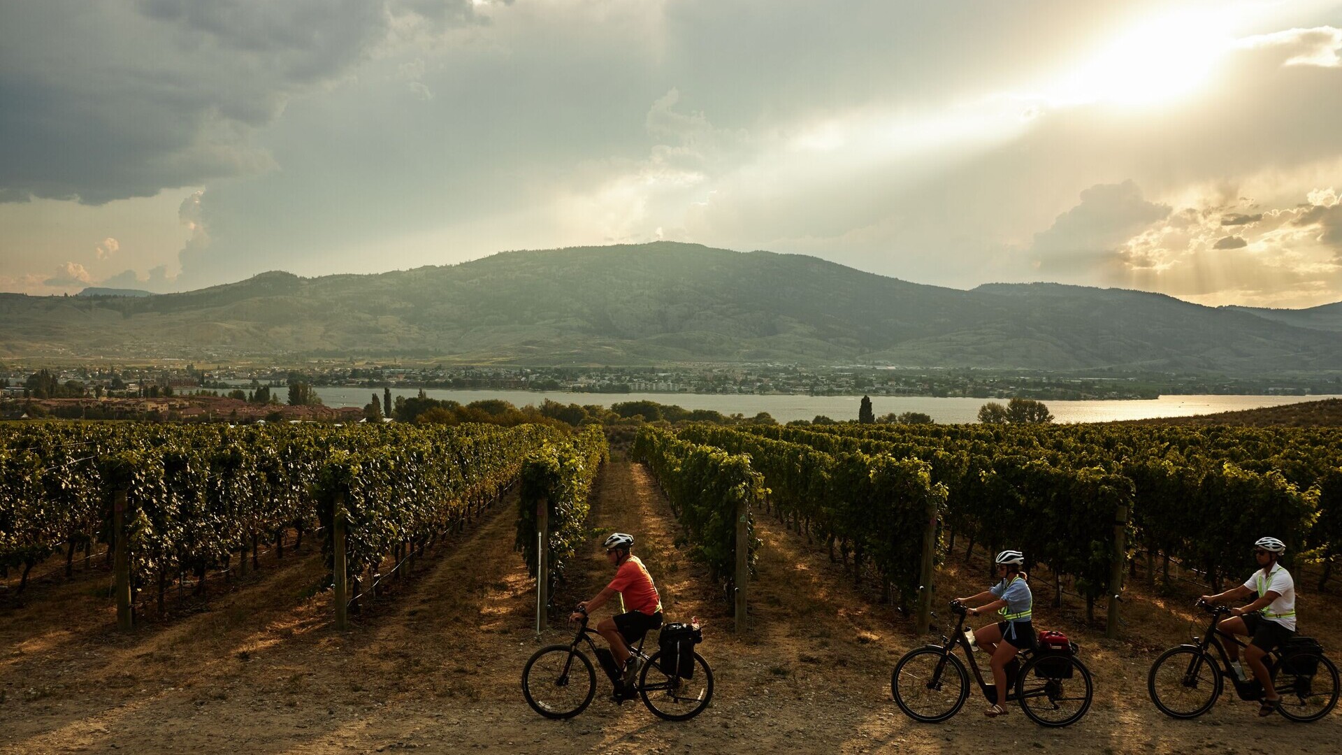 Weinberge von British Columbie — Foto: Destination BC/Hubert Kang