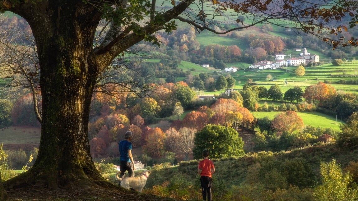 Valle de Baztan  — Foto: Iñaki Tejerina / Turismo de Navarra