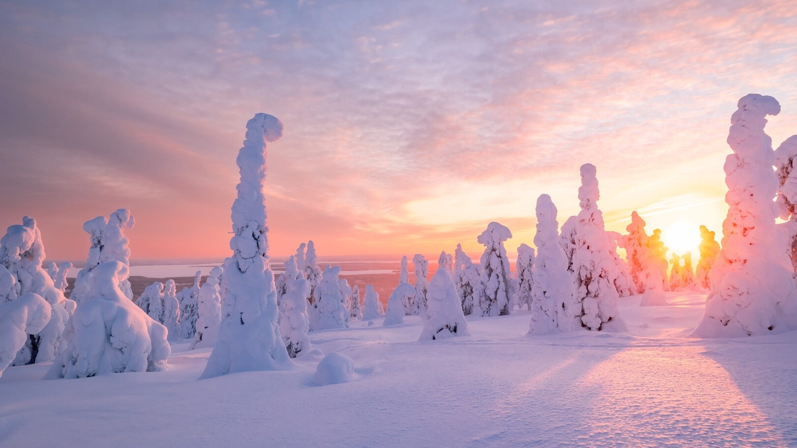 Lappland im Winter — Foto: AdobeStock via Sunny Cars 