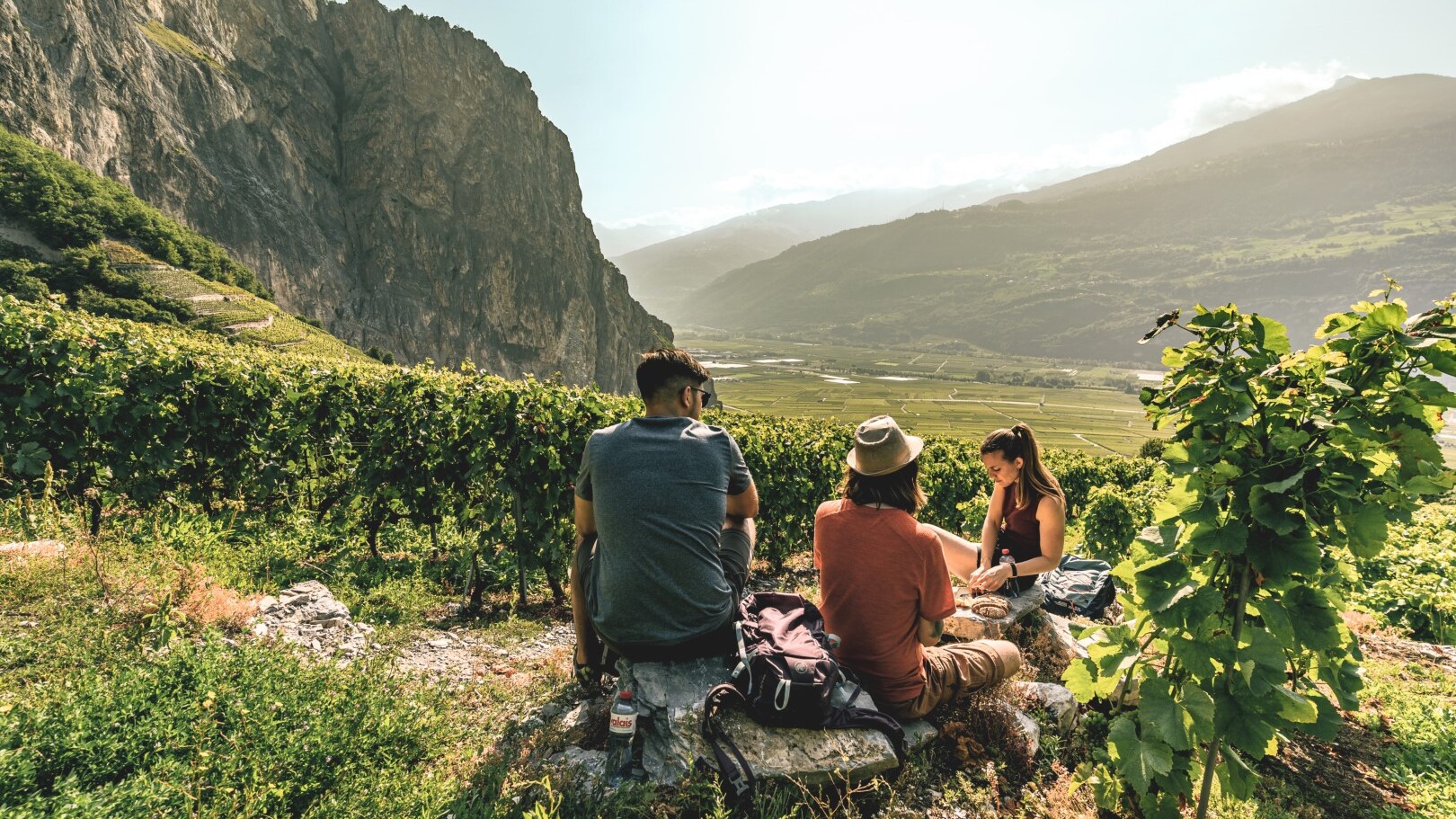 Chamoson, Blick ins Rhonetal — Foto: Switzerland Tourism / Christian Meixner