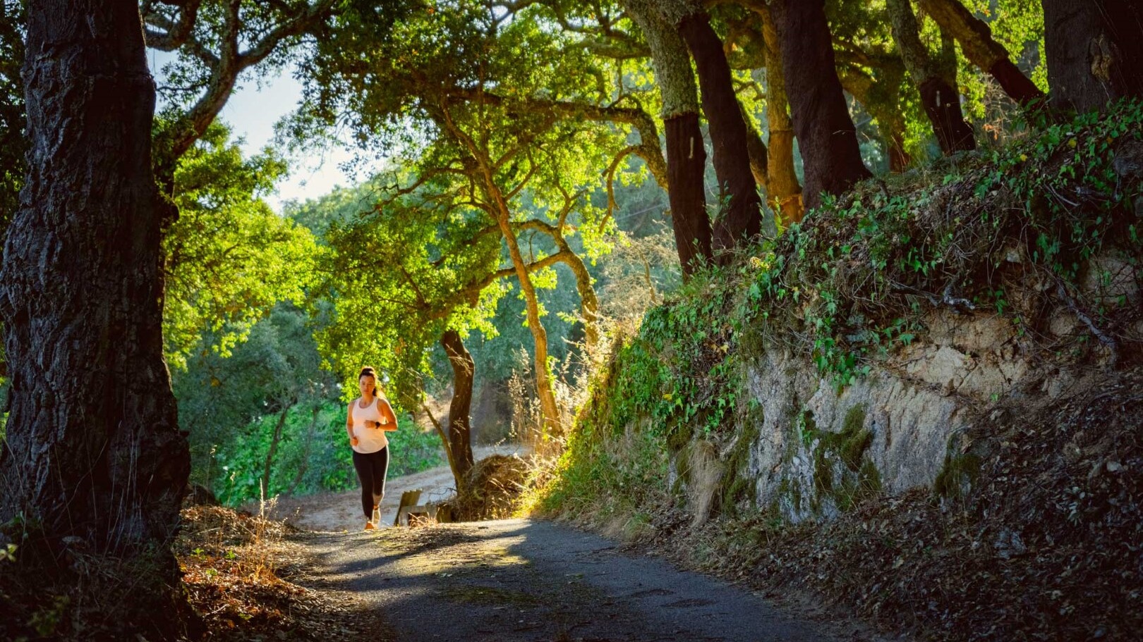 Natur erleben in Monchique und Umgebung  — Foto: Algarve Tourism Bureau