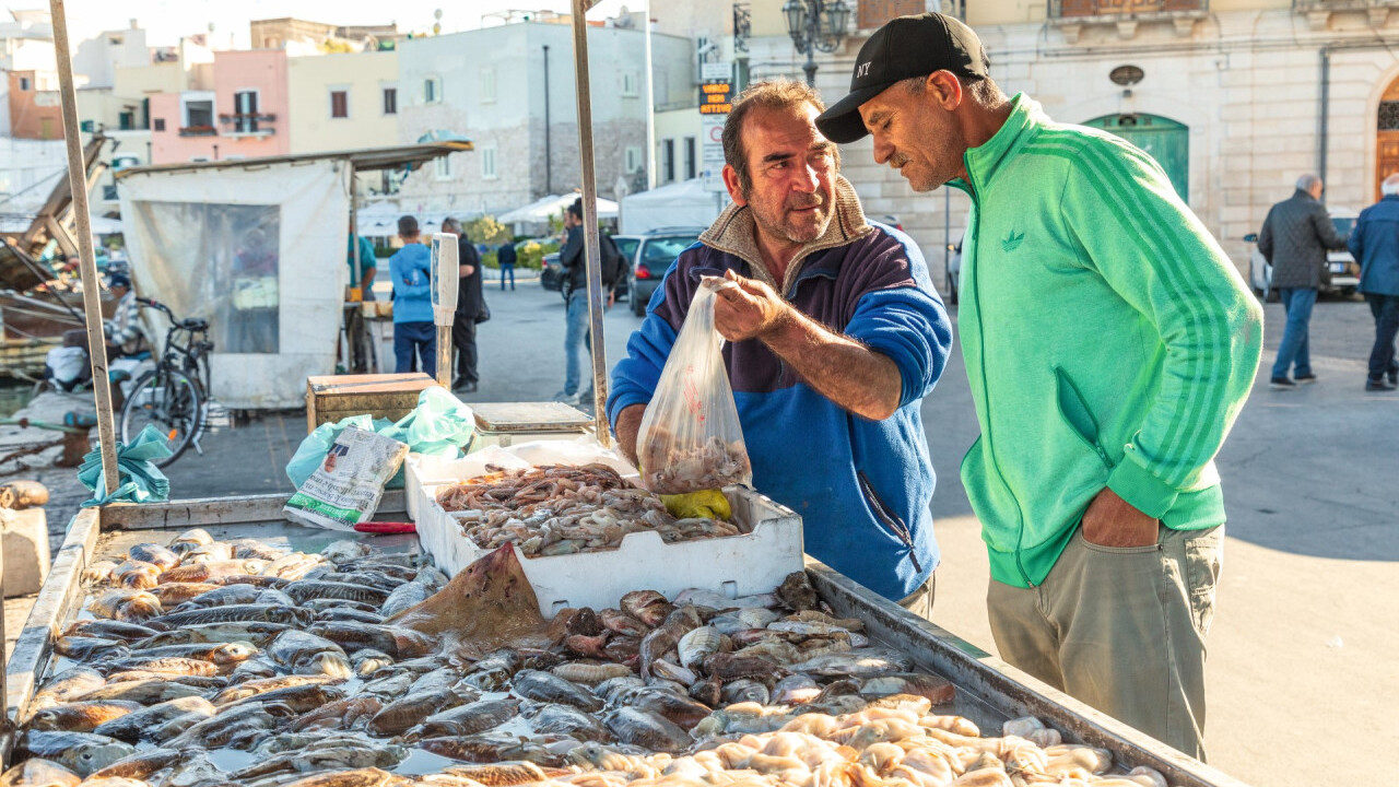 Frisch vom Kutter – catch of the day — Foto: Shutterstock / Emily Marie Wilson