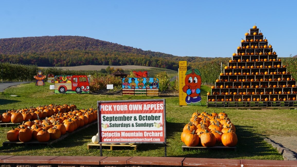 Maryland, Catoctin Mountain Orchard — Foto: Christiane Reitshammer