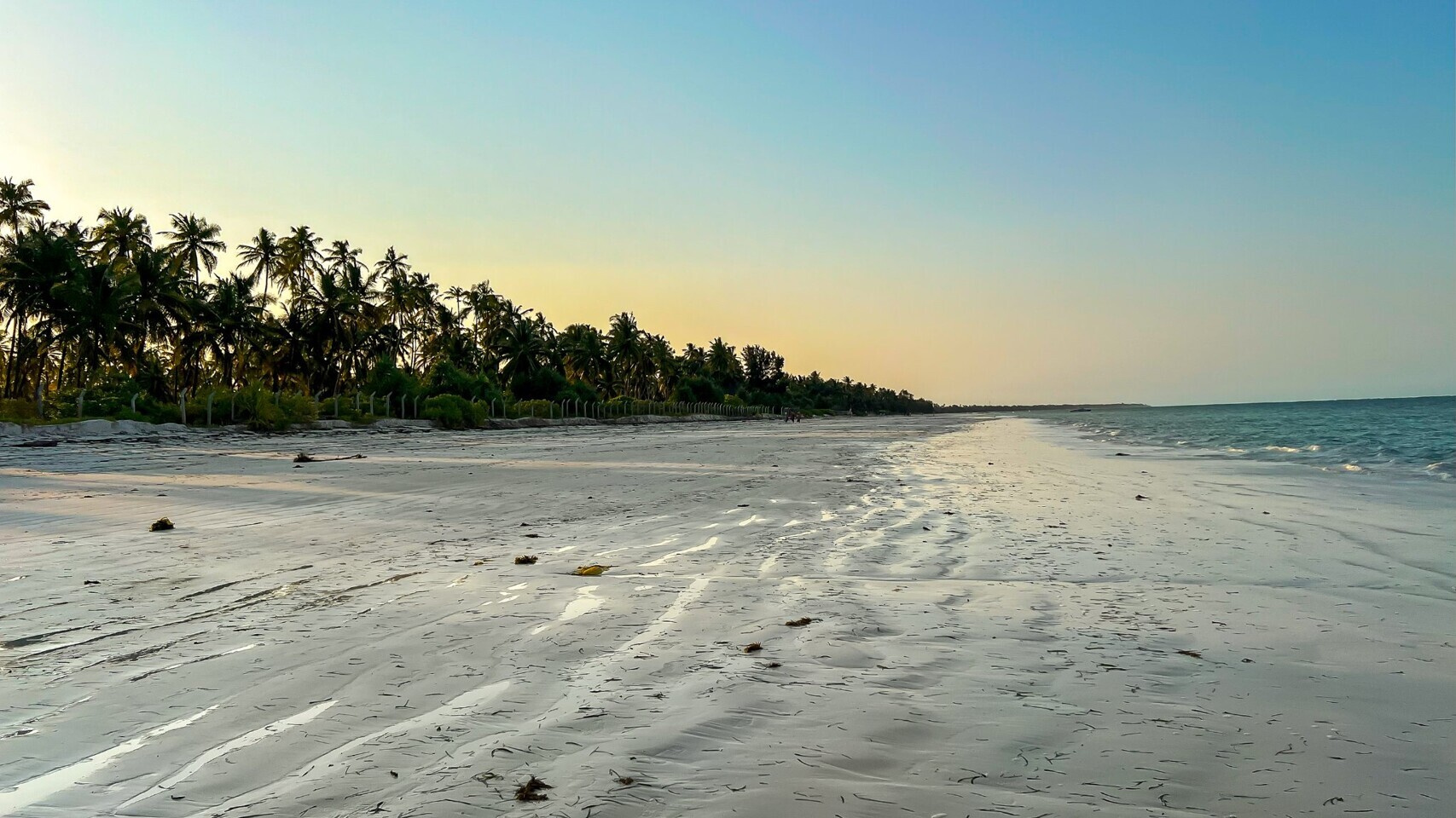 Strand von Sansibar — Foto: Robinson