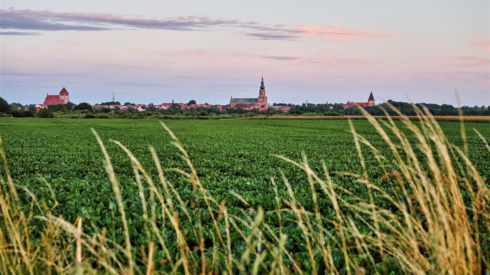 Greifswald: Caspar David Friedrich — Foto: Deutsche Zentrale für Tourismus e. V. 