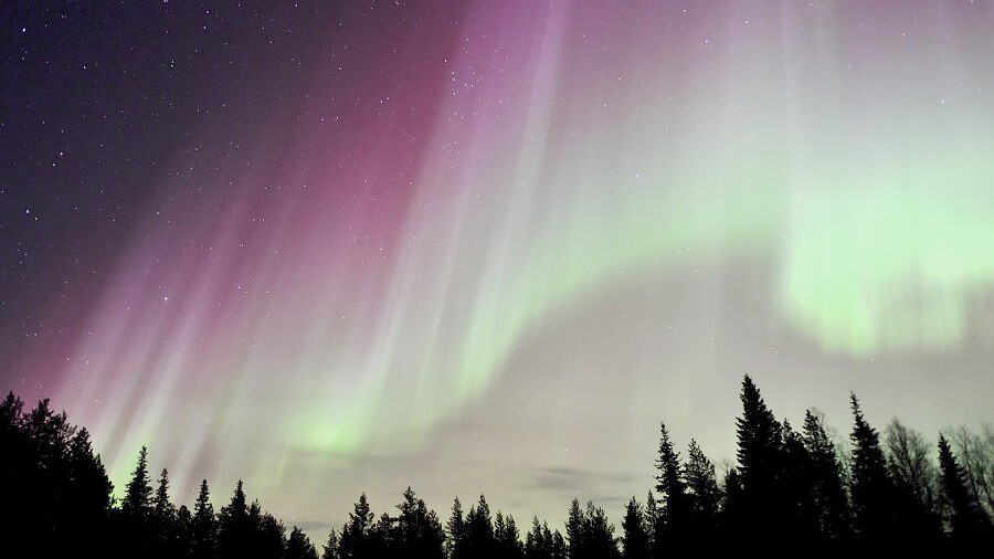 Nordlichter in Schwedisch Lappland  — Foto: Wildnisdorf Solberget 