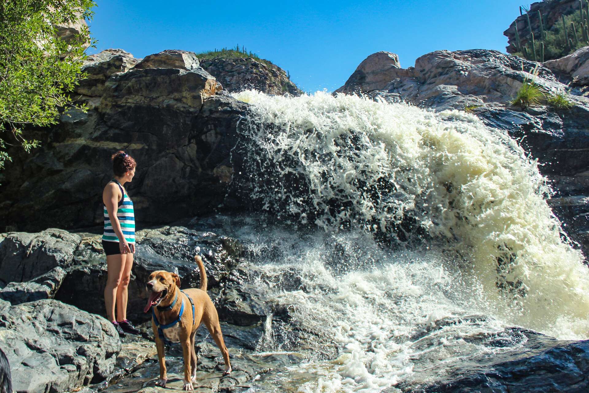 Tucson, Tanque Verde Falls  — Foto: Visit Tucson  