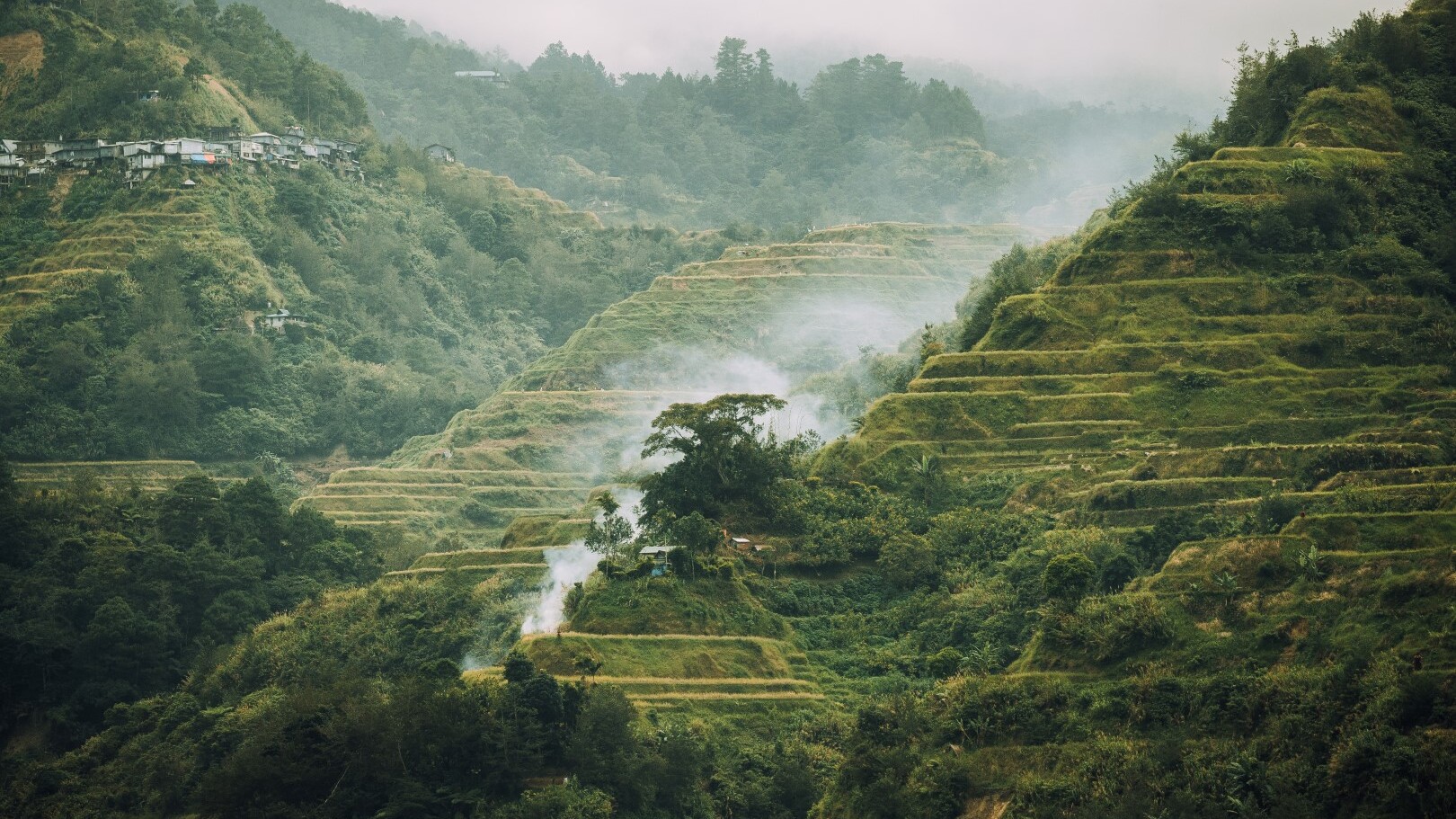 Reisterrassen auf den Philippinen — Foto: Beautiful Destinations / Philippine Department of Tourism  