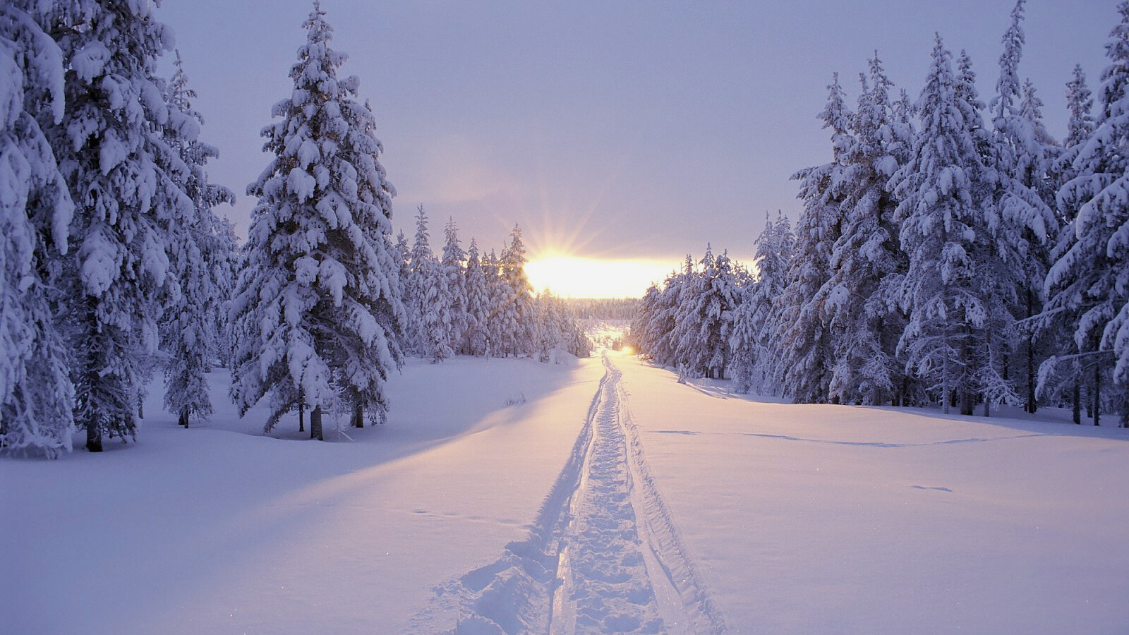 Winterlandschaft am Polarkreis — Foto: Wildnisdorf Solberget