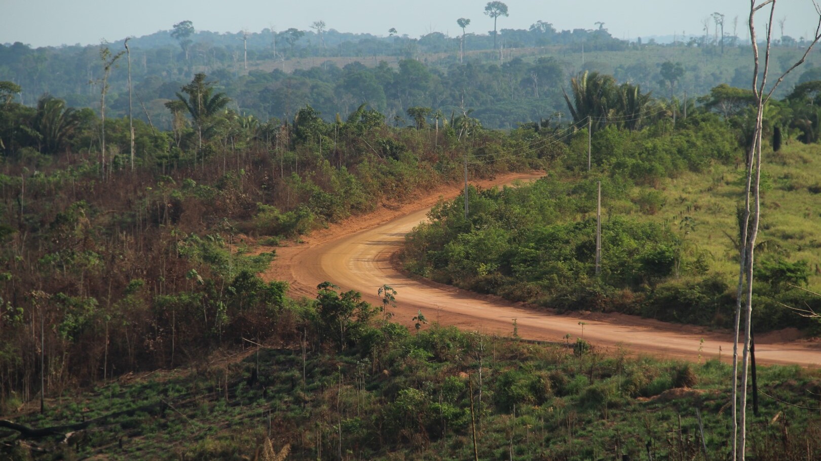 Transamazônica — Foto: AdobeStock / bereitgestellt von Sunny Cars