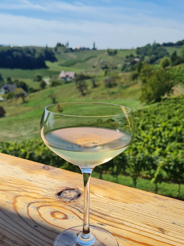 Weingut Valdhuber — Foto: Christiane Reitshammer