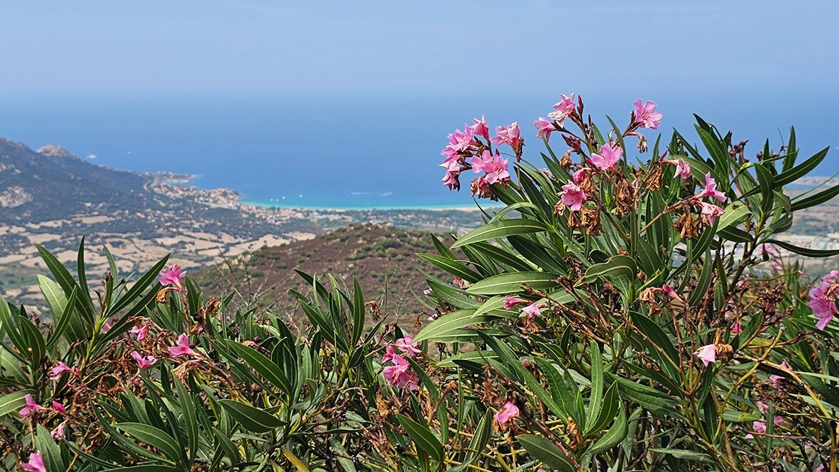 Ausblick von Sant'Antonino — Foto: Martina Ehn