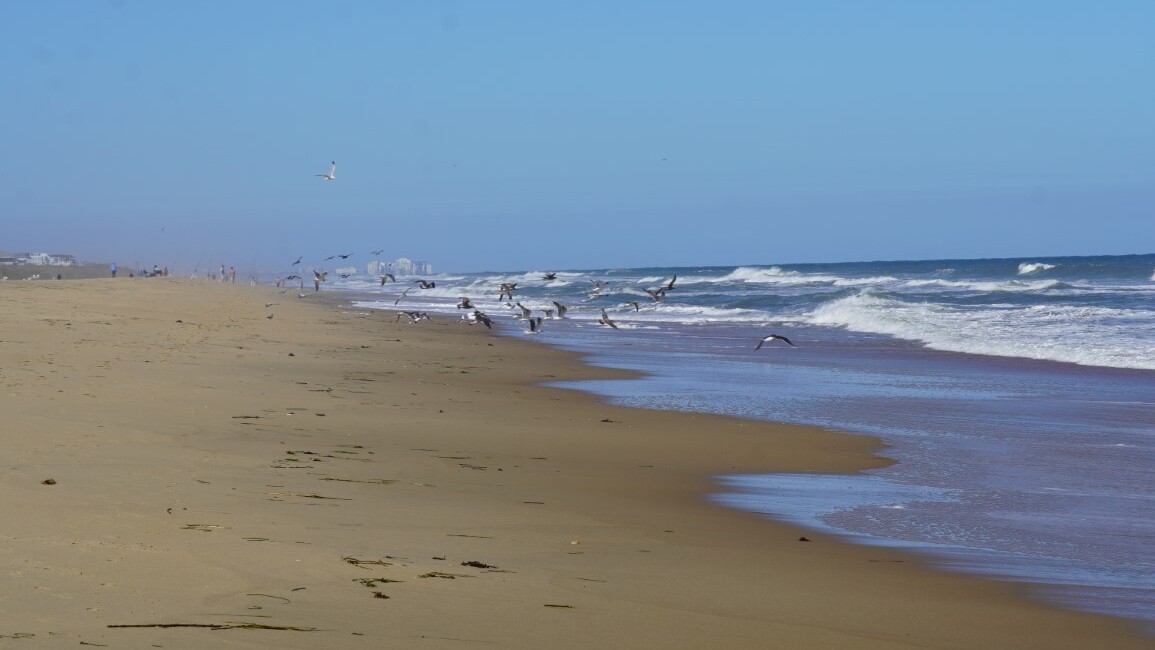 Virginia, Virginia Beach — Foto: Christiane Reitshammer