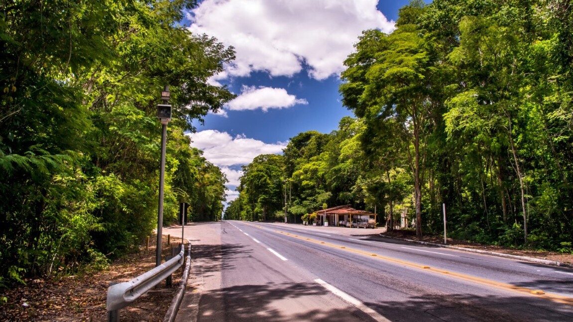 BR-101 Transcoastal Highway  — Foto: AdobeStock / bereitgestellt von Sunny Cars