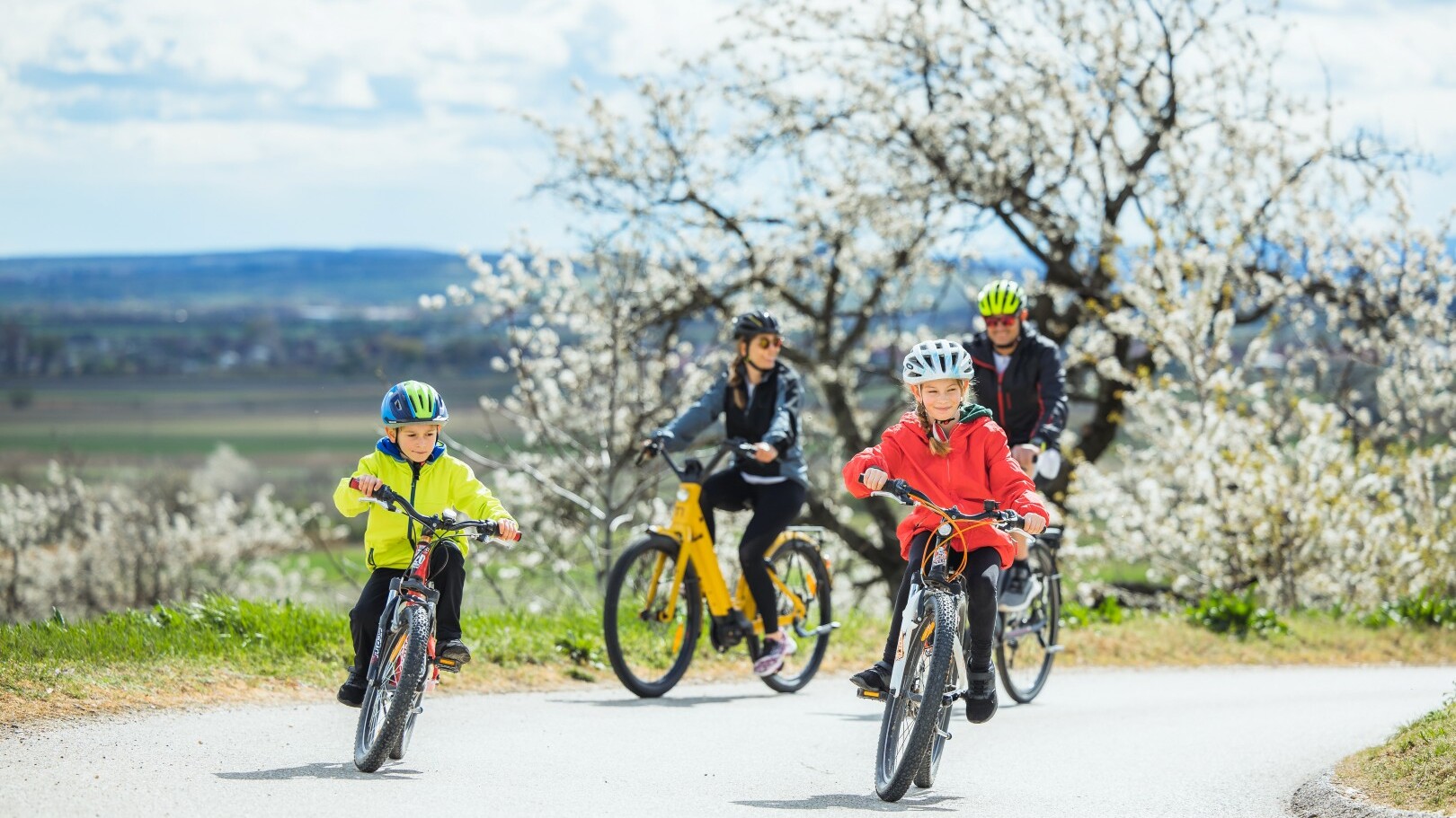 Kirschblütenweg im Burgenland — Foto: Burgenland Tourismus / Tommi Schmid